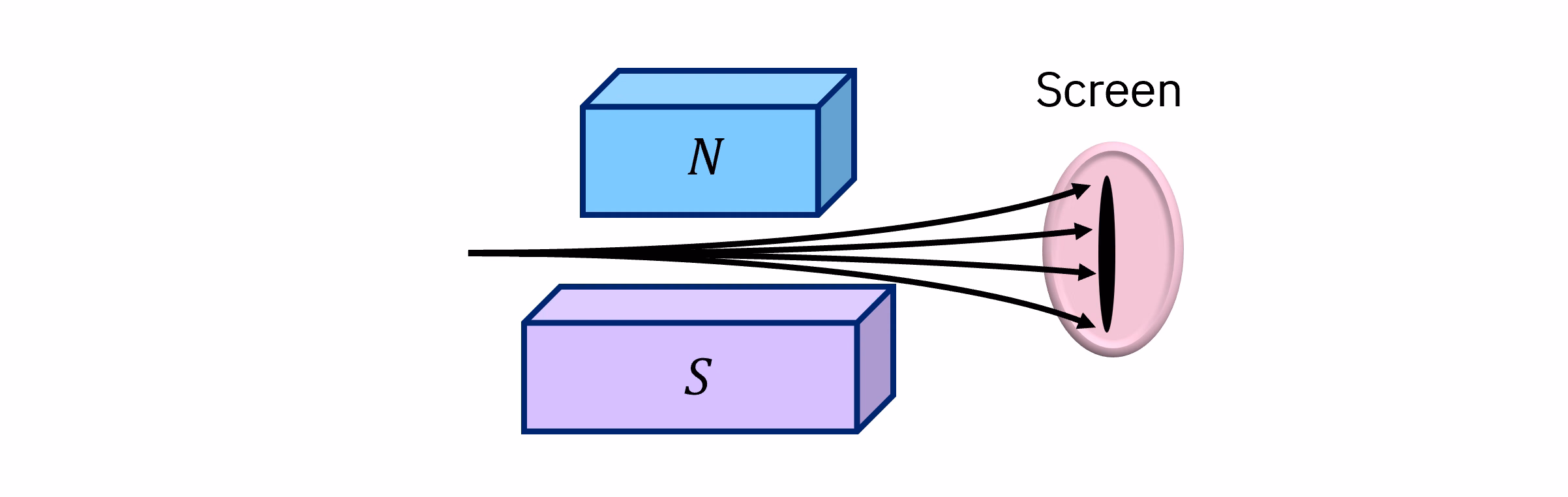 Diagram wiązki cząstek przechodzących przez magnes. Są one odchylane w różnym stopniu wzdłuż kierunku pola magnetycznego. Gdy uderzają w odległy ekran, tworzą linię.